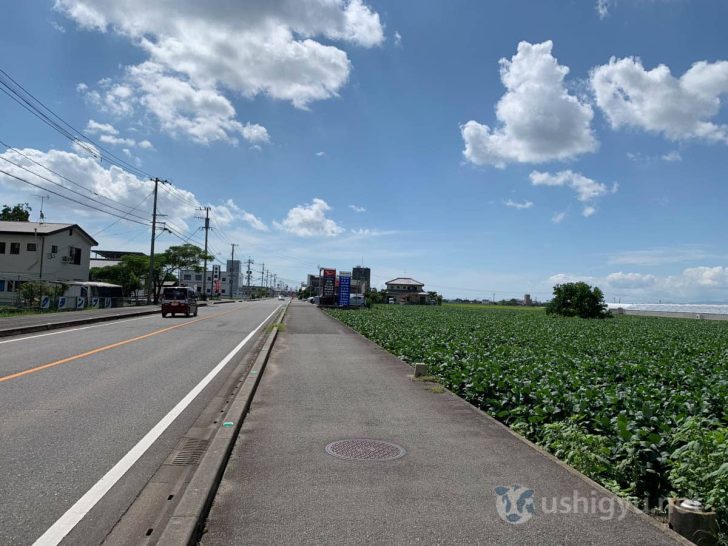 福岡と長崎のあいだ、佐賀県の下道