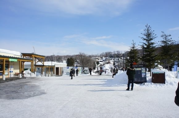 Asahiyama zoo 3