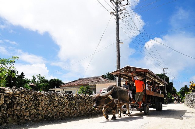 Move okinawa isolated island 4