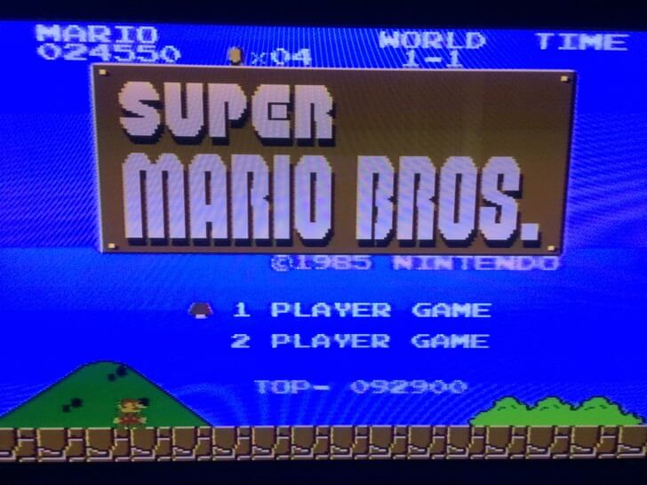 Supermario bros fatal case title