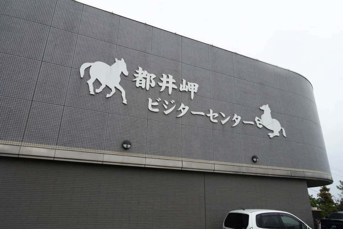 Toimisaki wild horse 3