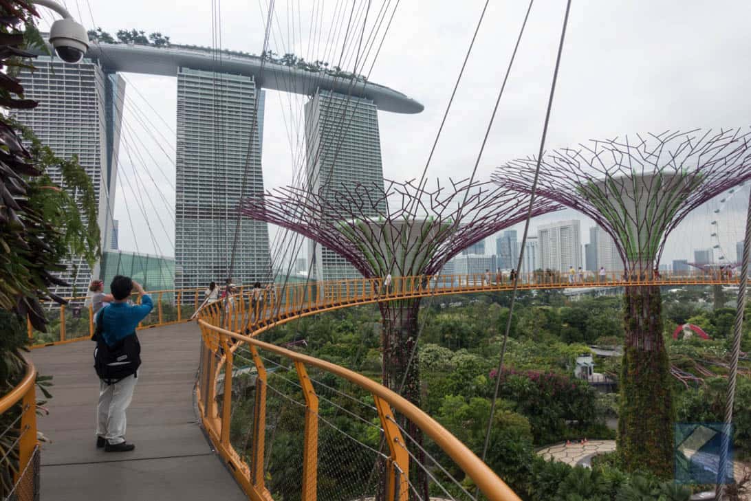 Gardens by the bay 10