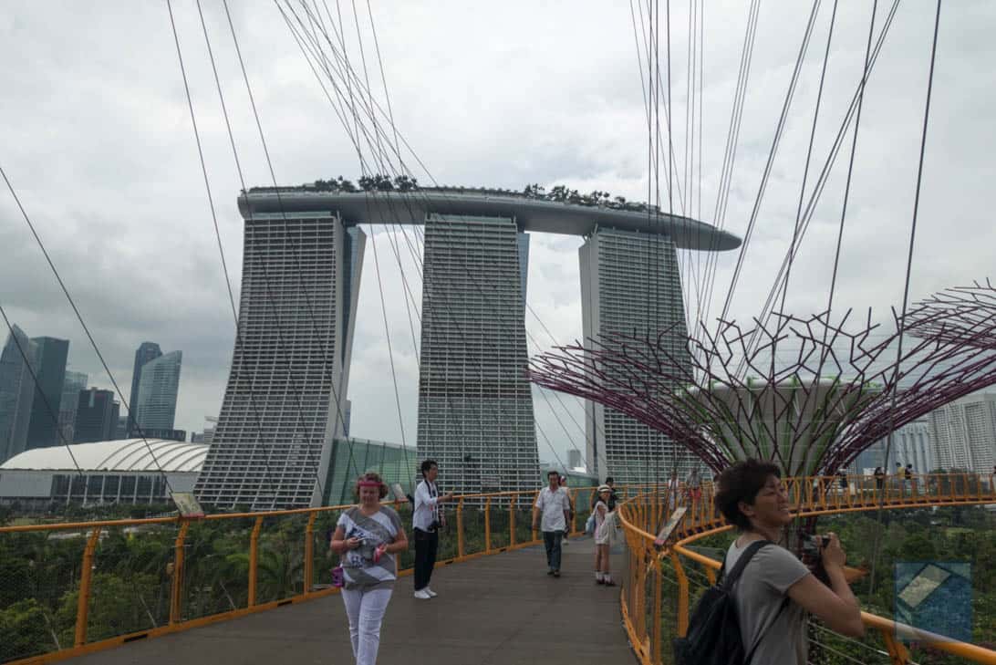 Gardens by the bay 11