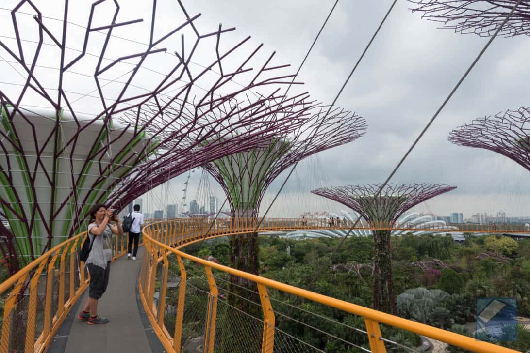 Gardens by the bay 12