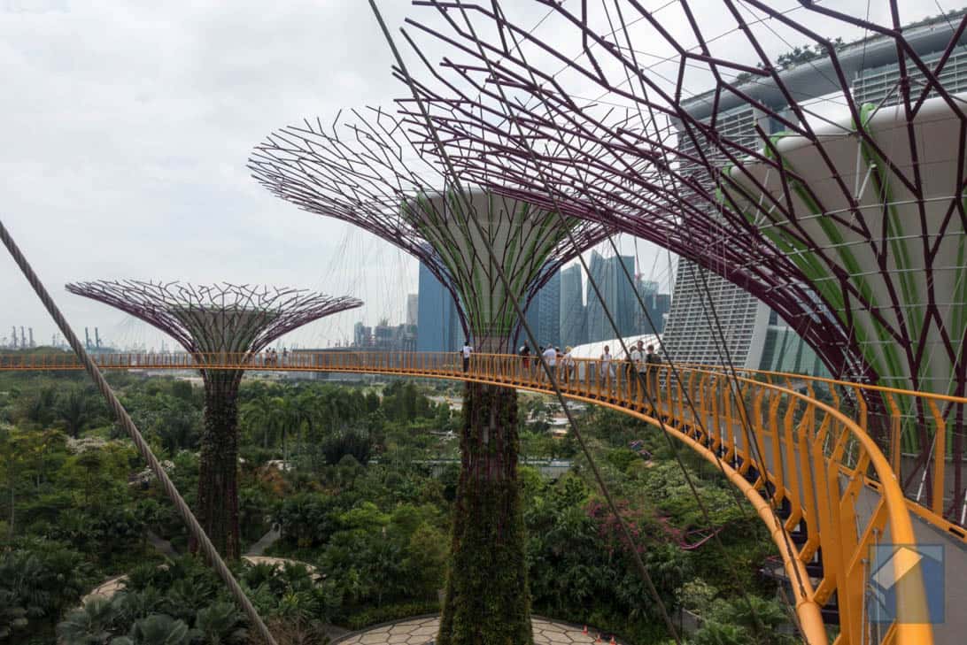 Gardens by the bay 13