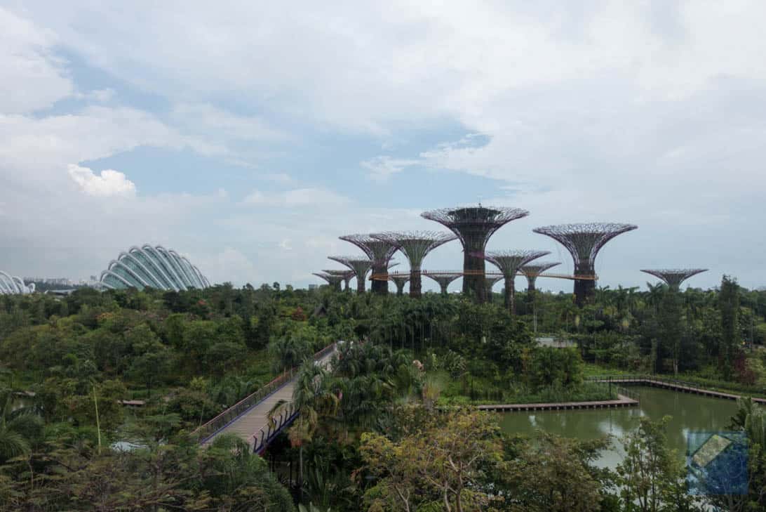 Gardens by the bay 19