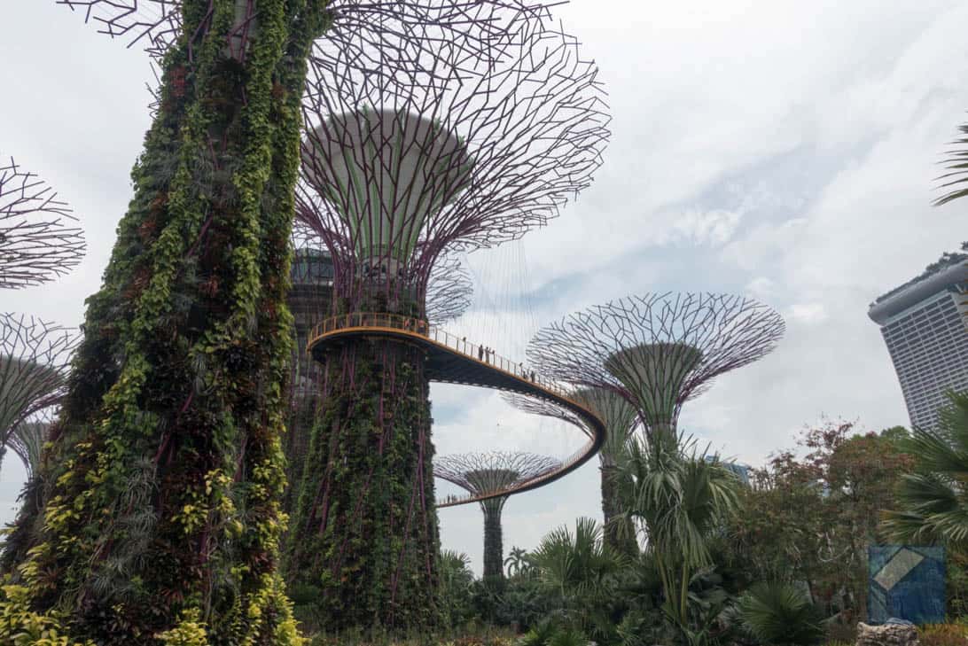 Gardens by the bay 4