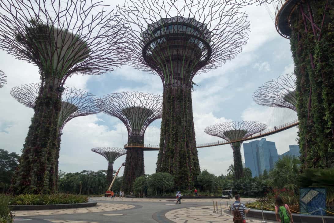 Gardens by the bay 5