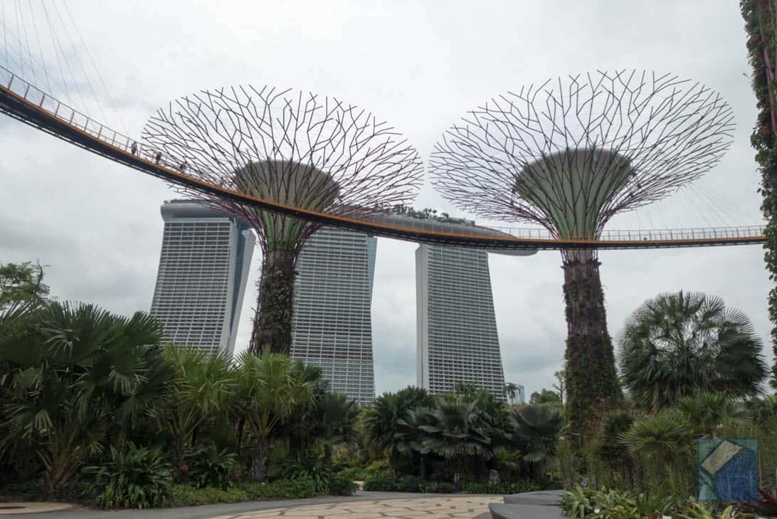 Gardens by the bay 7