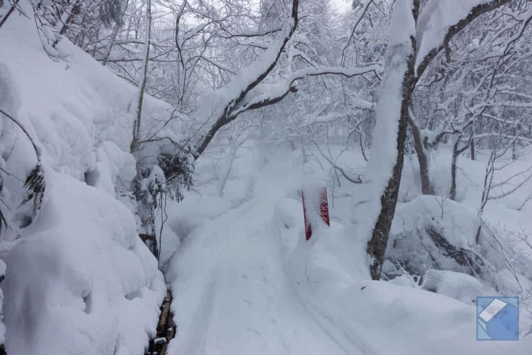 Akita nyutoonsen yumeguri 16