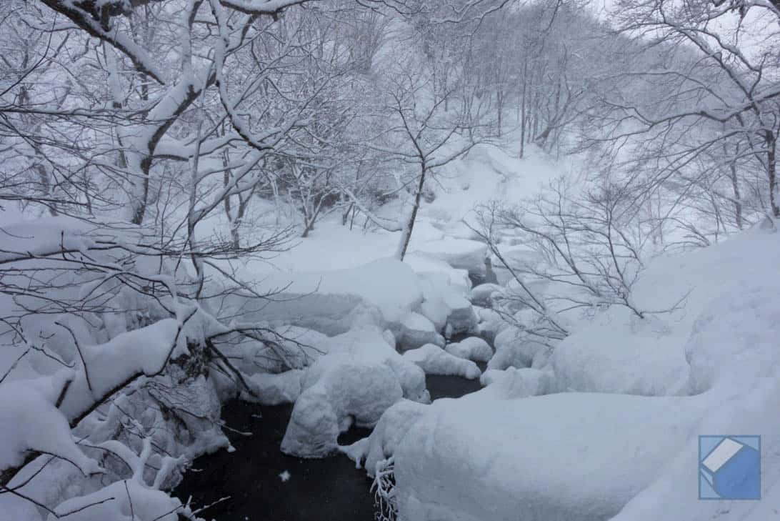 Akita nyutoonsen yumeguri 17