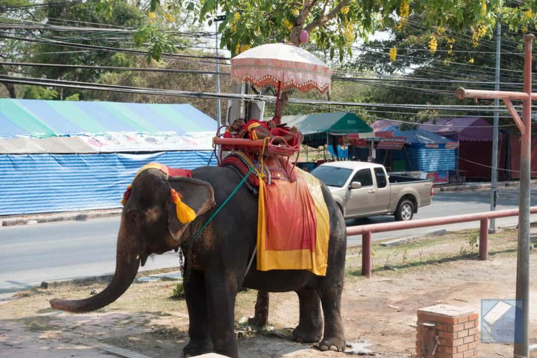 Ayutthaya ruins thailand 11