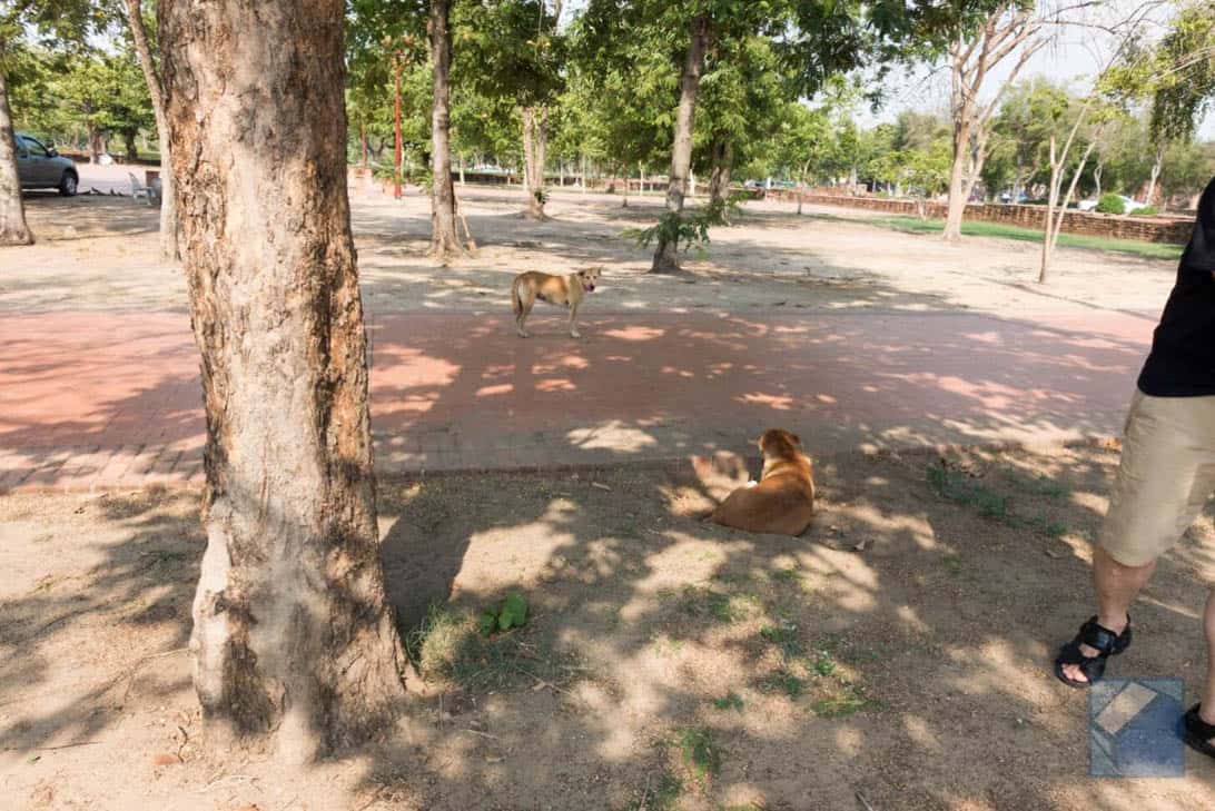 Ayutthaya ruins thailand 21