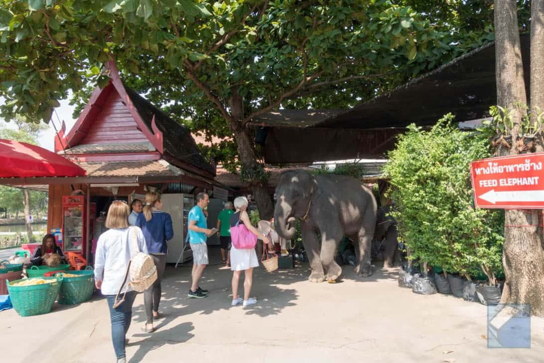 Ayutthaya ruins thailand 3