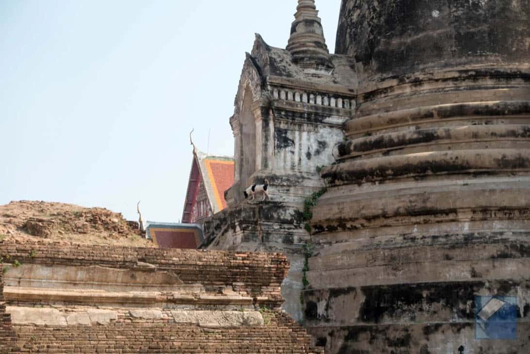 Ayutthaya ruins thailand 34