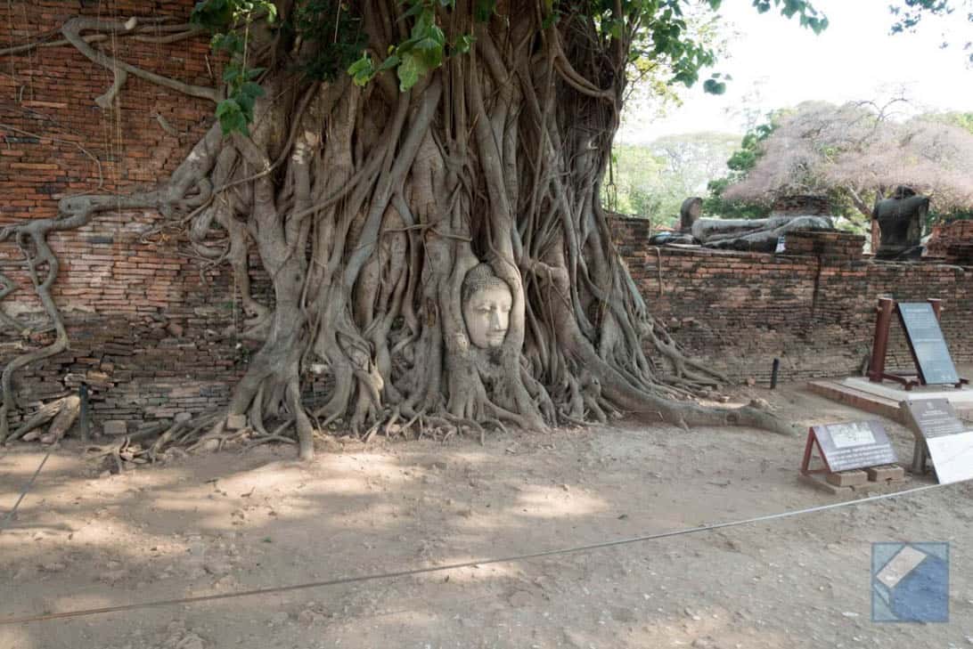 Ayutthaya ruins thailand 39