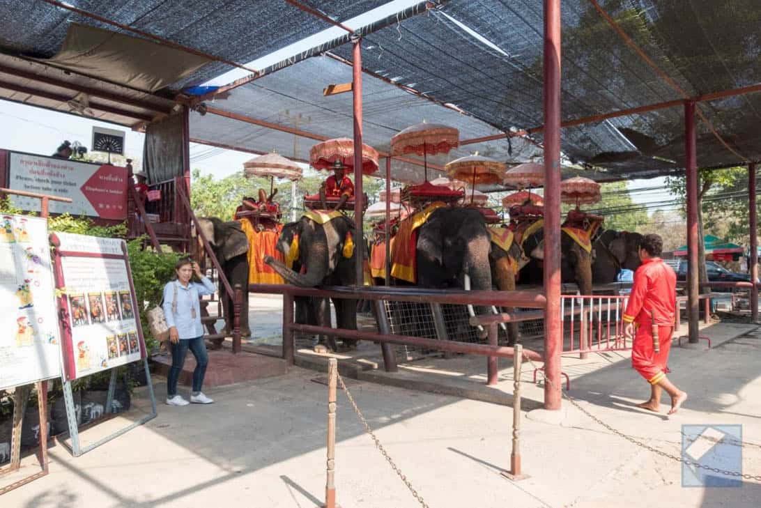 Ayutthaya ruins thailand 7