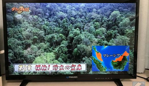 ジェネリック家電・マクスゼンの32型ハイビジョンテレビを購入。画質・機能十分、これが約24,000円で買えるのか…