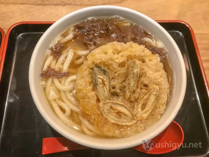 ニュー因幡の肉ごぼう天うどん