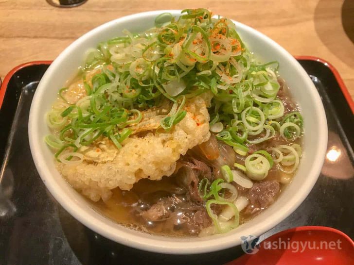 ニュー因幡のネギ入り肉ごぼう天うどん