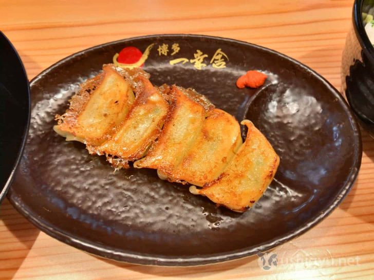 博多一幸舎総本店：一口餃子