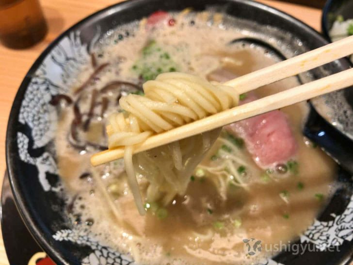 博多一幸舎総本店：角切り麺アップ