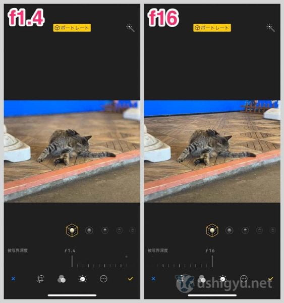 iPhone XSやXRは背景のボケ方をあとから調整できる