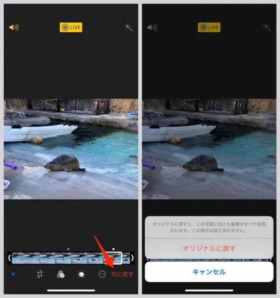 人気 live カメラ iphone 切り取り