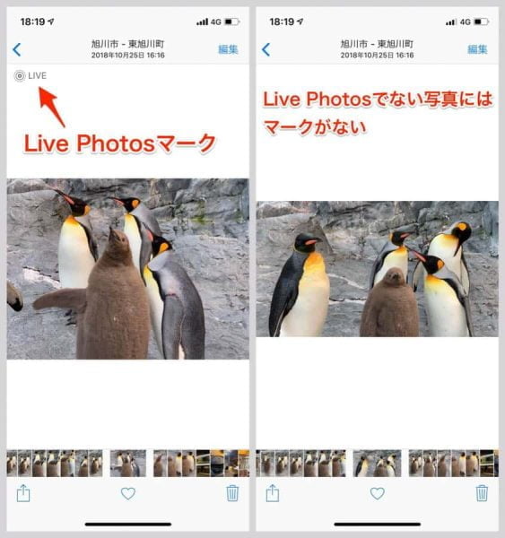 Live Photosで撮った写真はLIVEの文字とマークがつく