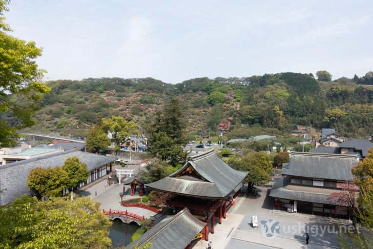 祐徳稲荷神社の建物群や東山公園の花々が一望できる