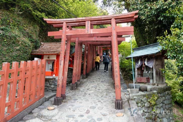 赤い鳥居が連なる道は通るだけで楽しい