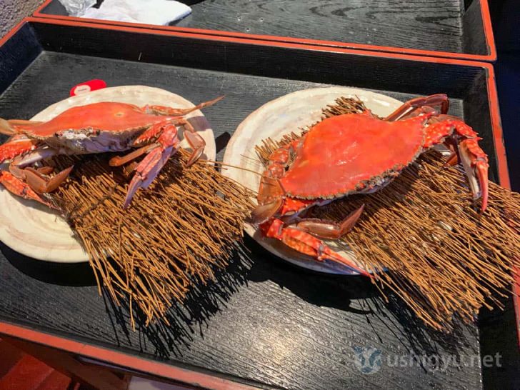 竹崎カニのオスとメスを一杯ずつ