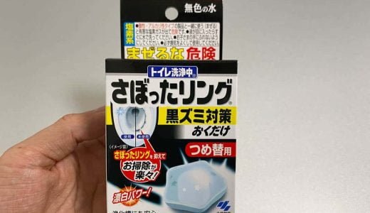 トイレ掃除の手間を減らしたいなら、今すぐ「ブルーレットおくだけ漂白剤」を設置しよう