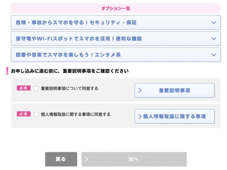 オプションが必要ならば選択肢、重要説明事項や個人情報取扱に関する事項に同意して次へ