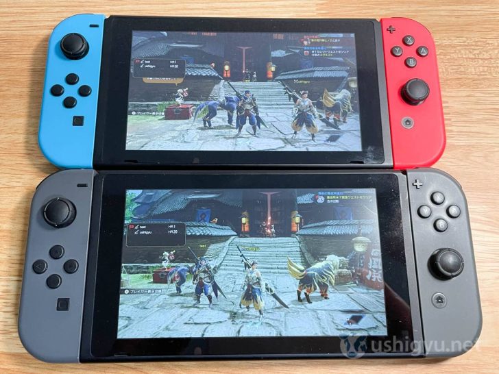 2台のSwitchと1本のダウンロード版モンハンライズで2人プレイが可能