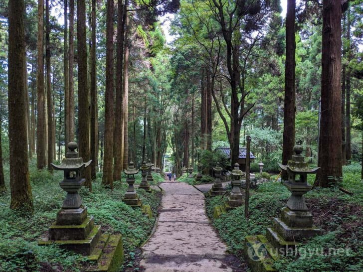 後ろを振り返った景色も、また風情がある