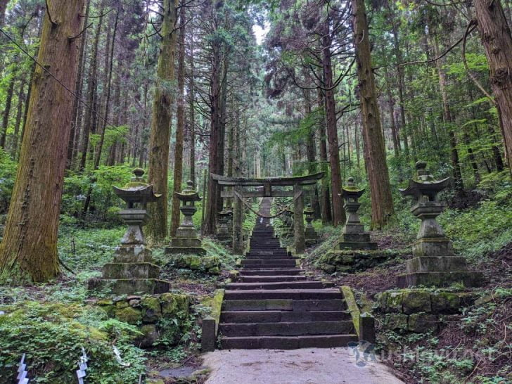 しばらく来たところで、鳥居が出現