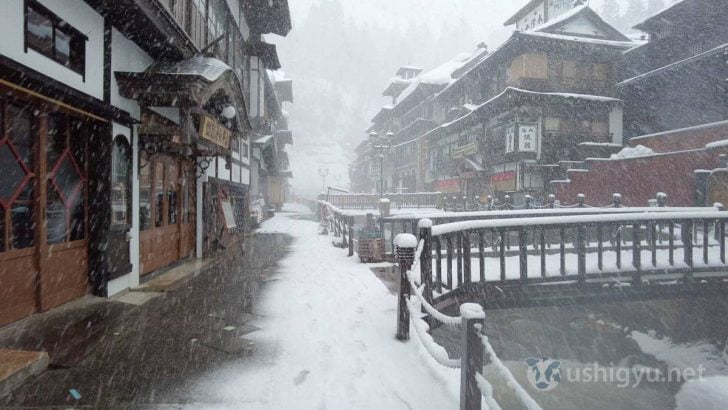 奥の建物がかすむほどの降雪