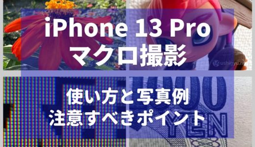 iPhone 13・14 Proマクロ撮影のやり方を詳しく解説。最短2cmまで近付いて撮れる！