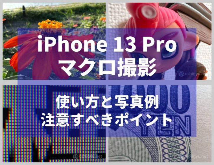 iPhone 13 Proのマクロ撮影はめちゃ近付いて撮れる。撮影方法と作例、注意すべきポイントを解説