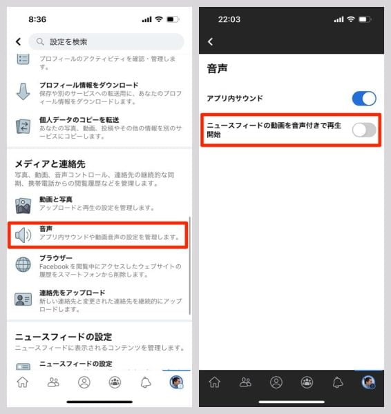 「音声」の「ニュースフィードの動画を音声付きで再生開始」をオフにしてもいい