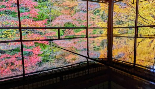 「瑠璃光院」へのアクセスと写真レポート。京都でも有数の紅葉の名所、拝観料2,000円払っても行く価値のある絶景