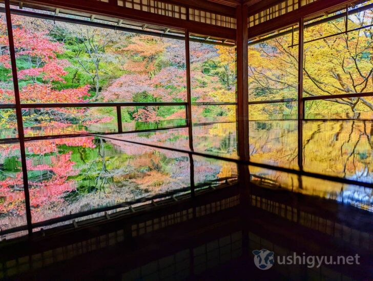 「瑠璃光院」のアクセスと写真レポート