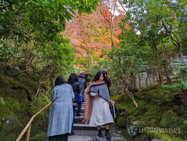 建物に入るまでの道も美しい風景がたくさん