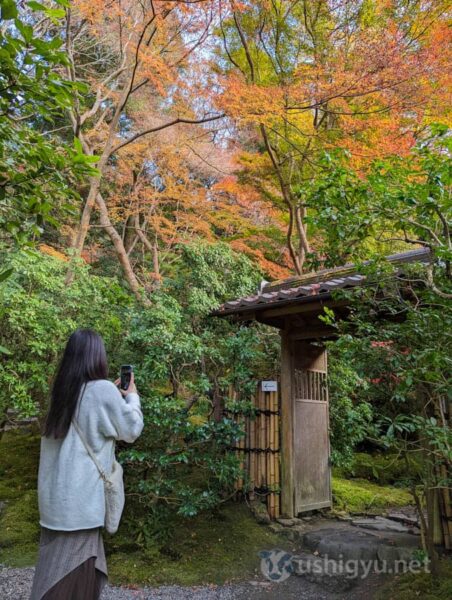 途中に門があり入り口かと思いましたが、ここは出口