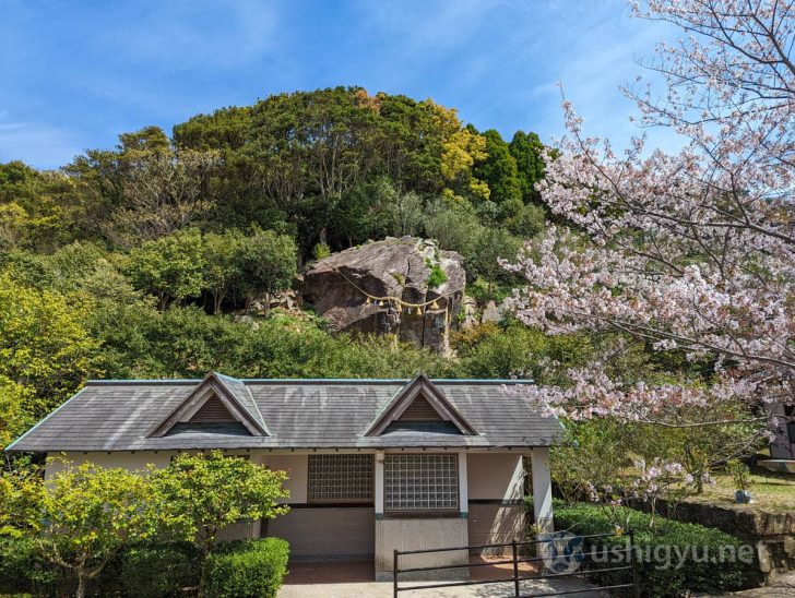 西平椿公園の大岩さま