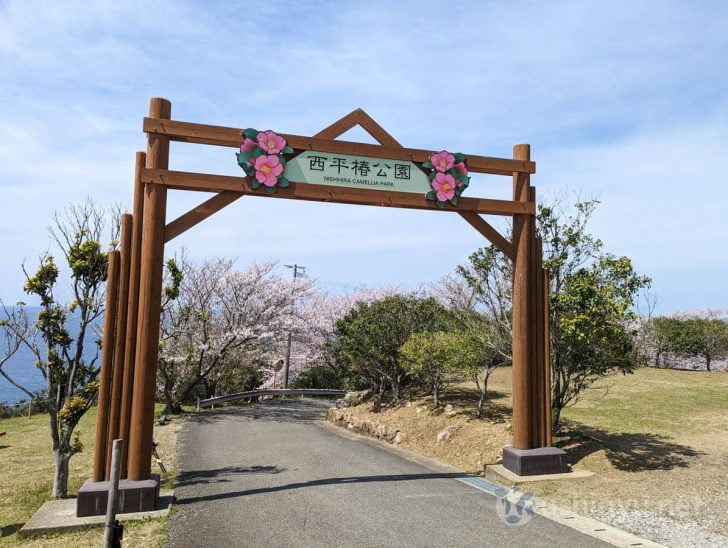 たどり着いた西平椿公園