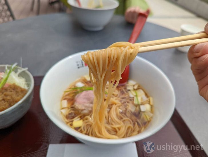 麺は加水率高めでツルッとした細麺