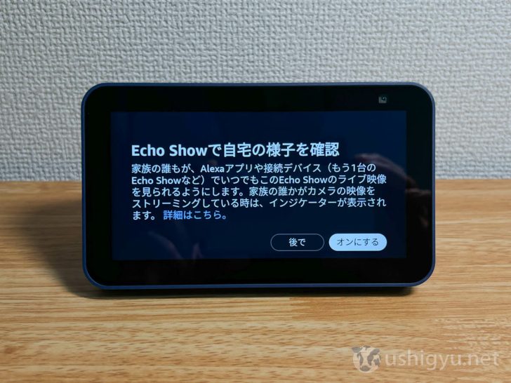 Echo Showは子供やペット用の見守りカメラとして使える