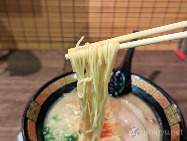 一蘭ラーメンの麺は極細麺